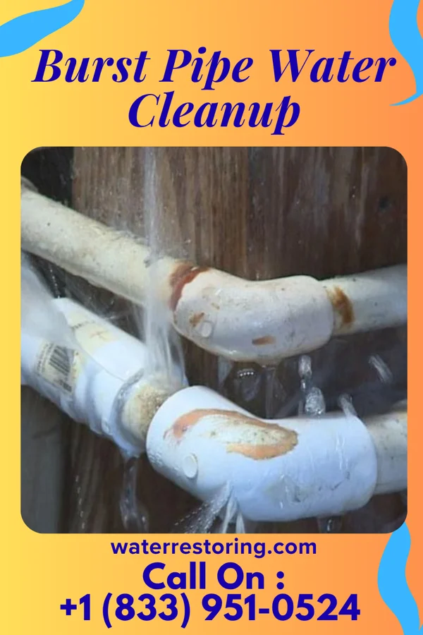Burst Pipe Water Cleanup in Savageville, VA