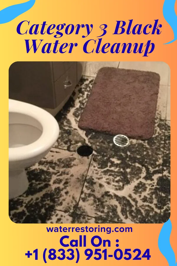 Category 3 Black Water Cleanup in Savageville, VA