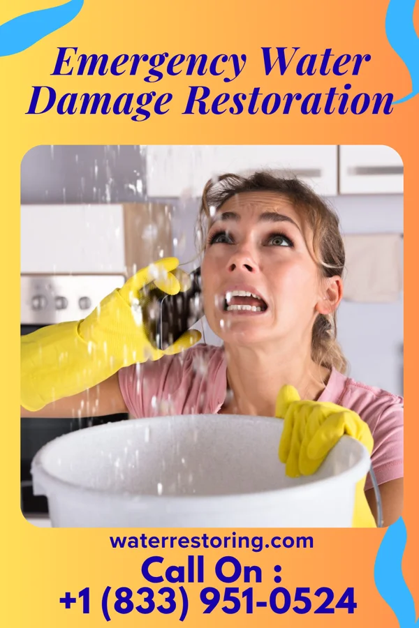 Emergency Water Damage Restoration in Savageville, VA