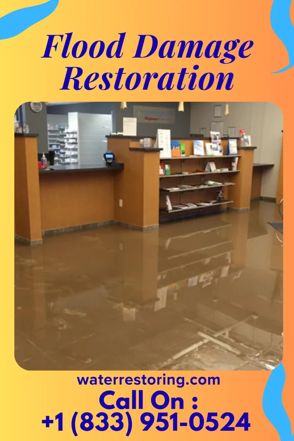 Flood Damage Restoration in Savageville, VA