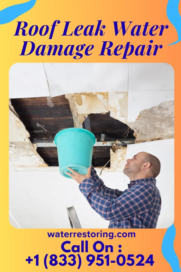 Roof Leak Water Damage Repair in Savageville, VA