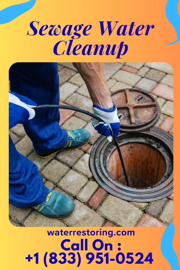 Sewage Water Cleanup in Savageville, VA