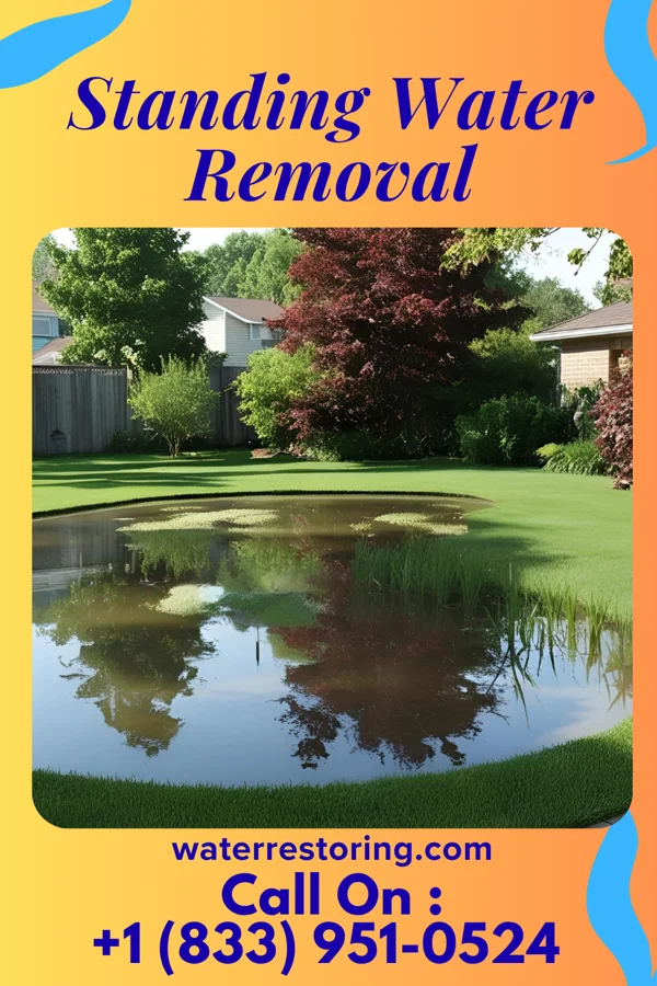 Standing Water Removal in Savageville, VA